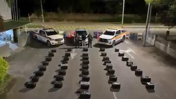 Policía del Valle frustró envío de marihuana hacia Armenia y Medellín: incautaron más de media tonelada de droga