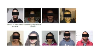 Paseaperros: la banda completa en