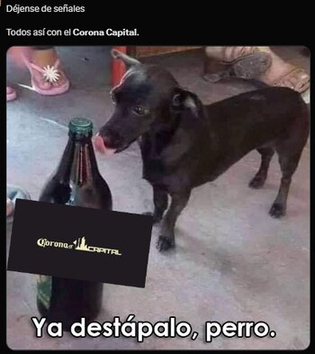 (Captura de pantalla)