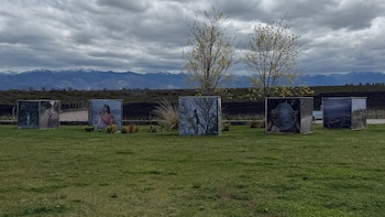 Festival FOCUS en Mendoza: Adriana Lestido, Musuk Nolte y artistas de tres países exploran la fotografía como construcción de realidad