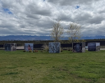 Estructuras cúbicas con fotografías dispuestas en un prado verde frente a árboles y una cadena montañosa bajo el cielo nublado