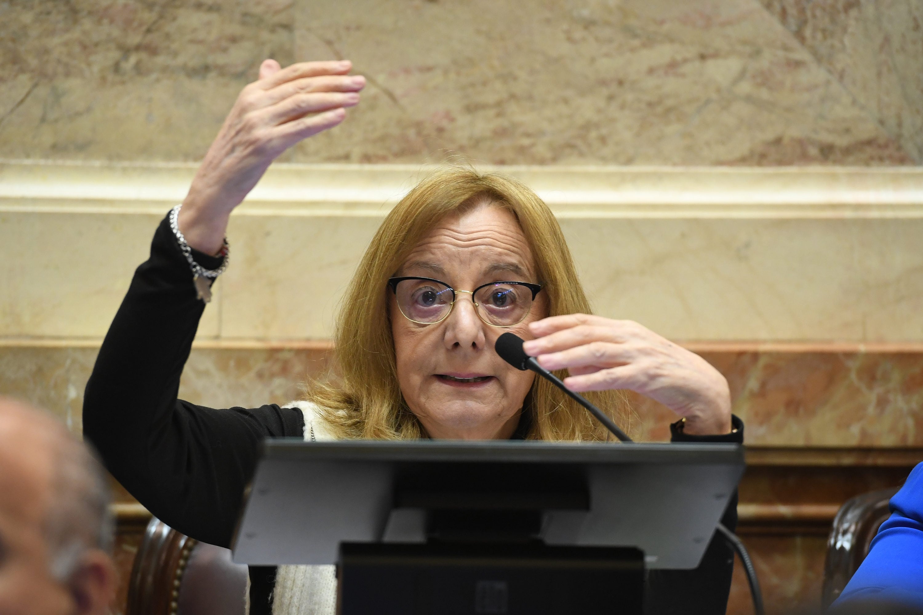 Alicia Kirchner