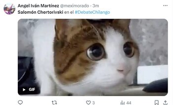 Foto: @meximorado / X