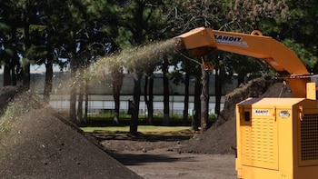Un árbol reciclado puede generar