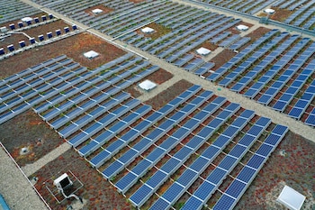 Alemania en riesgo de perder