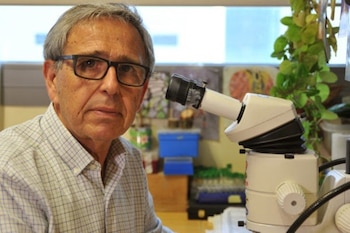 Imagen D2EG6BYEY5DWBBNM5YLVELXQ6I