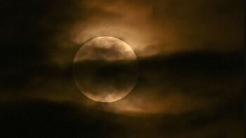 En marzo de 2025, la