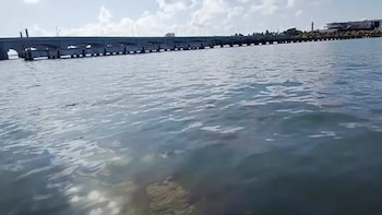 Pescadores alertan sobre posible derrame de diésel en la costa de Progreso, Yucatán