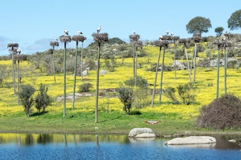 El Humedal de la Cigüeña. (Ayuntamiento de Malpartida de Cáceres)