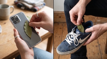 Imagen dividida que muestra la colocación de una hoja de laurel en la funda de un teléfono y en un zapato deportivo.