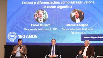 El desafío de la carne argentina: producir más valor para conquistar nuevos mercados