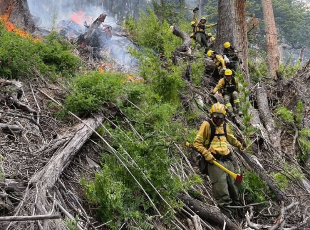 La causa del incendio en el Lago Menéndez se atribuye a la caída de rayos, según el reporte oficial del parque nacional
