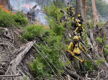 La causa del incendio en