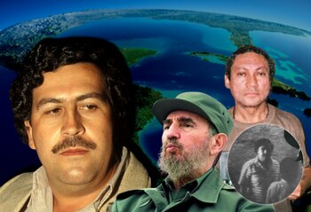 Además del auge de terror