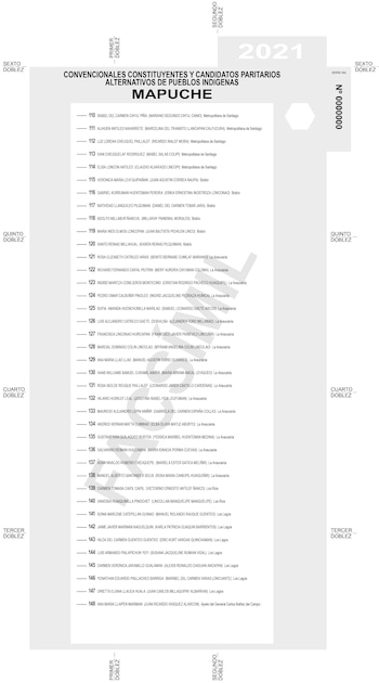 (Servicio Electoral Chile)