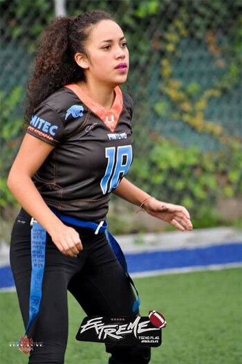 La captura del responsable de