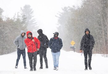 Solicitantes de asilo, que declaran