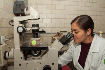 En el proyecto participan investigadores