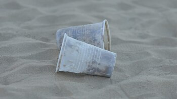 Entre los desechos humanos y