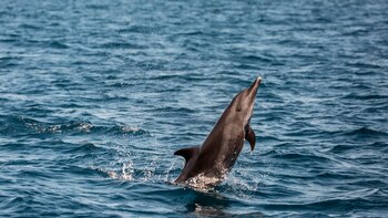 Terminaron sin acuerdo las negociaciones