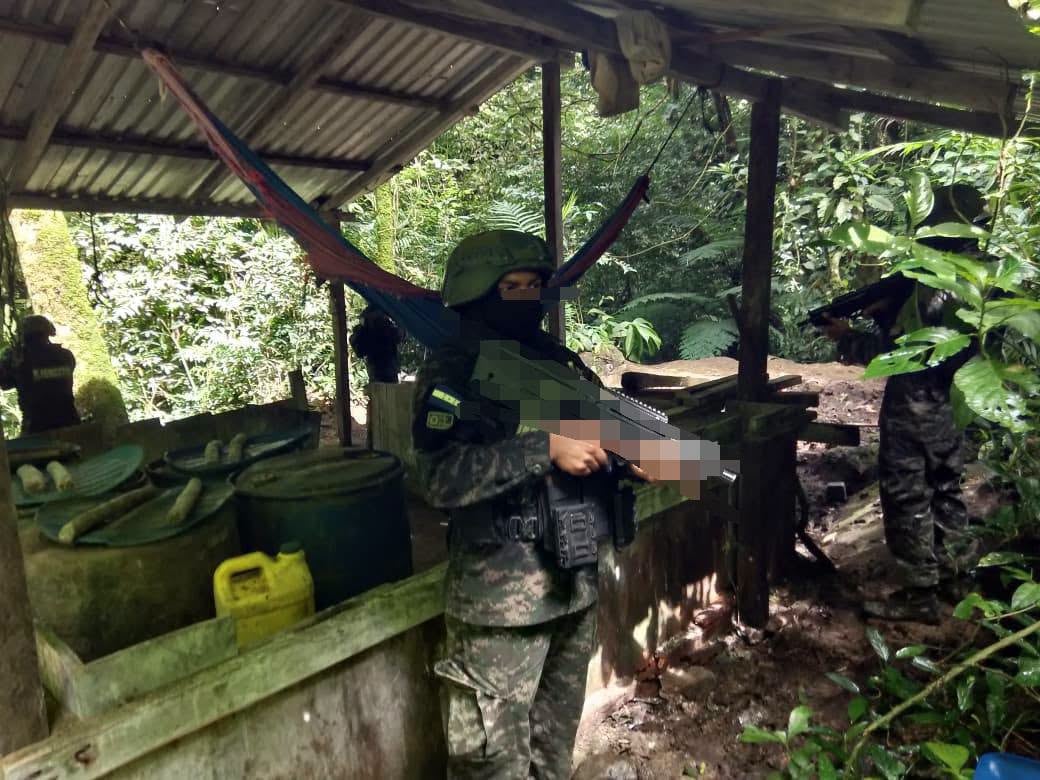 La plantación fue encontrada en la aldea El Carbón, durante operaciones contra actividades ilícitas. (Foto: Fuerzas Armadas de Honduras)