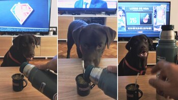 El hombre explicó que se