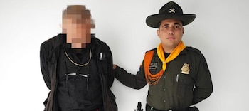 Varias mascotas murieron o sufrieron