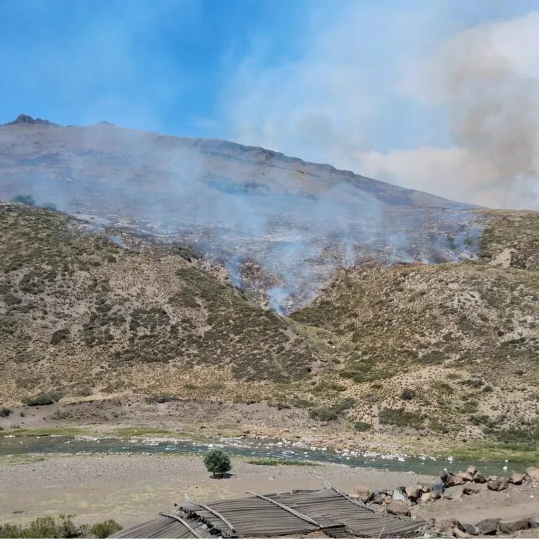 Las autoridades de Neuquén implementaron un protocolo de monitoreo constante y advirtieron sobre la importancia de no ingresar a las áreas afectadas