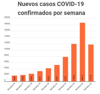 Casos COVID-19 por semana. Fuente: