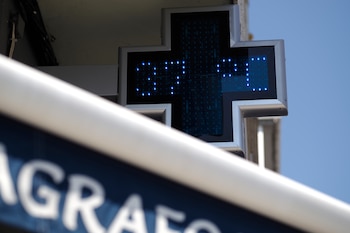 Los farmacéuticos recuerdan la importancia de conservar correctamente los medicamentos. (EFE/ Eliseo Trigo)