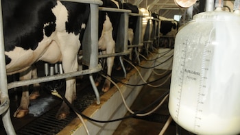 Brasil va por medidas antidumping