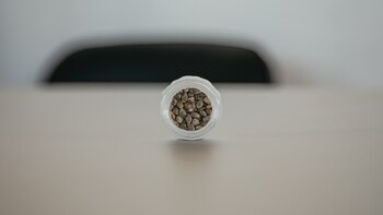 Las 4.500 semillas de cannabis