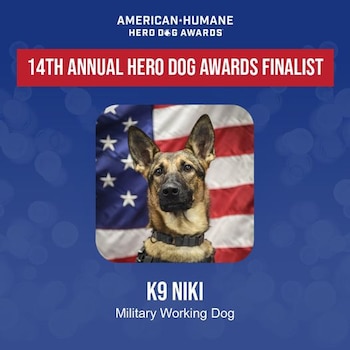 Niki Military Working Hero Dogs