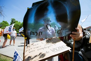 Un equipo de científicos descubrió