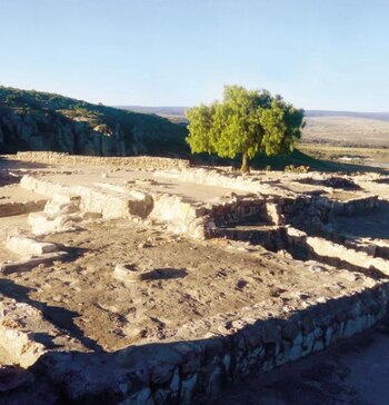 Guanajuato cuenta con al menos