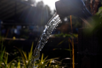 El trabajo relaciona la presencia