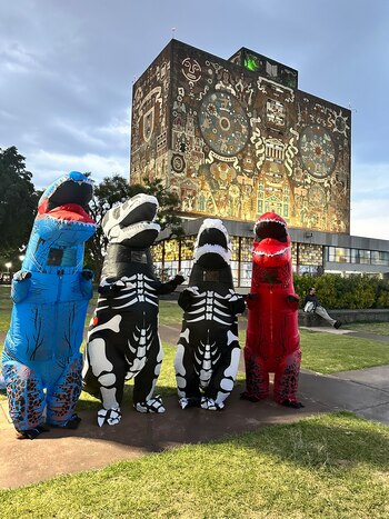 UNAM reconoció originalidad de los