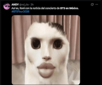 (Capturas de pantalla/Redes sociales)