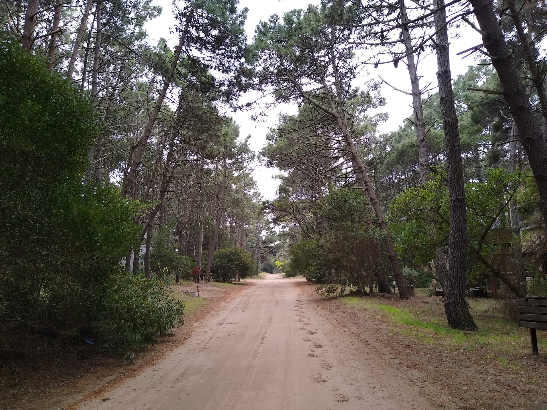 Un pueblo en la costa atlántica, mujeres que desaparecen y el incómodo silencio de los habitantes: de esta idea parte la trama del policial