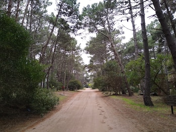 Un pueblo en la costa atlántica, mujeres que desaparecen y el incómodo silencio de los habitantes: de esta idea parte la trama del policial "Una forma de cerrar los ojos". (Foto: gentileza Raquel San Martín)