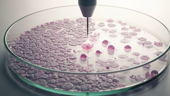 Una técnica científica destruye el 99% de las células cancerígenas en laboratorio