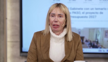 La denunciante pidió que la Justicia confirme la condena de ocho años contra Aníbal Lotocki por lesiones graves y estafa, y reclamó 25 años en el juicio por la muerte de Cristian Zárate (Captura de video)