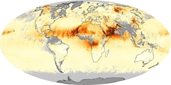 Imagen: Centro Nacional de Prevención