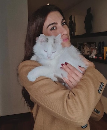 El gato era bastante consentido por la presentadora - crédito @andreasernafotos/Instagram