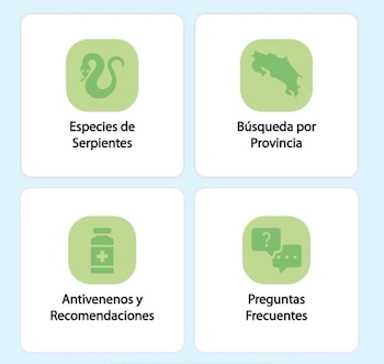 La aplicación ICP App permite identificar serpientes venenosas desde el teléfono móvil. Cortesía: UCR