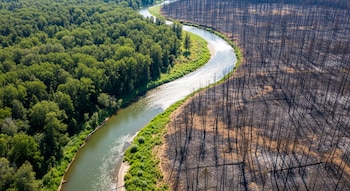 El campo laboral de las