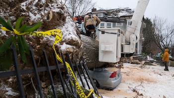 Chico Bunch, del Departamento Forestal