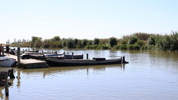 L'Albufera pierde 10 centímetros de