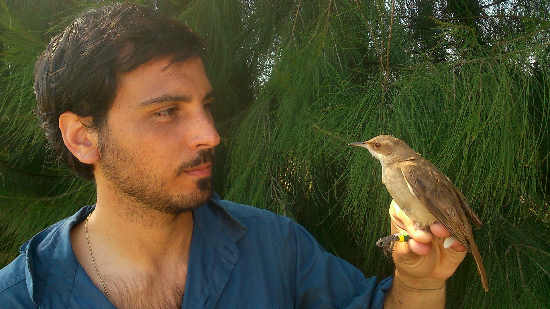 Nicolás Adreani es uno de los coautores del estudio publicado en Ibis (L. Mentesana/Archivo)