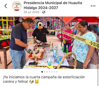 Huautla Suspensión jornadas de esterilización denuncias Hidalgo maltrato animal